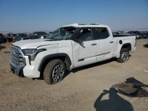 2023 TOYOTA TUNDRA