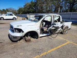 2011 DODGE All Models