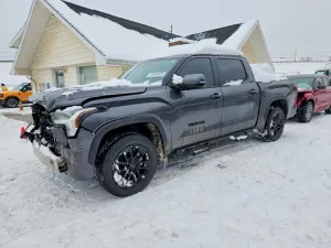2025 TOYOTA TUNDRA