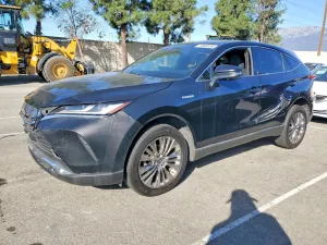 2021 TOYOTA VENZA