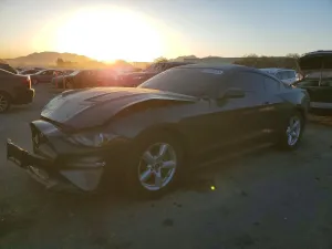 2019 FORD ALL Models