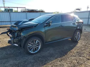 2025 LEXUS NX 350H BA