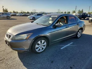 2010 HONDA ACCORD