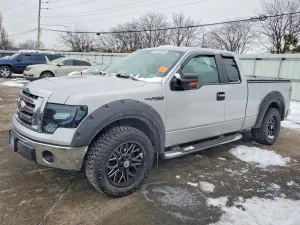 2009 FORD F-150