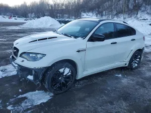 2009 BMW X6