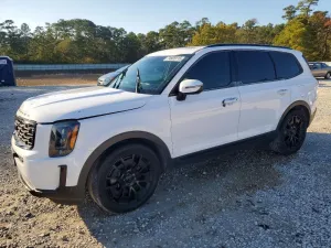 2021 KIA TELLURIDE