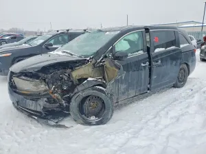 2017 HONDA All Models