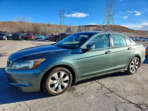 2010 HONDA ACCORD