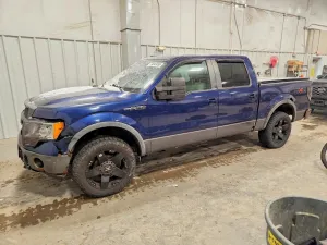 2009 FORD F-150