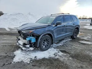 2025 TOYOTA GRAND HIGH