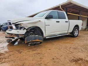 2009 DODGE All Models