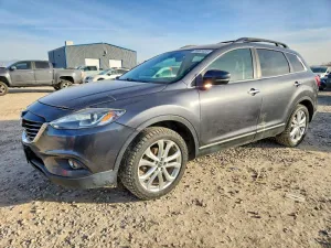 2013 MAZDA CX-9