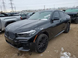 2022 BMW X6
