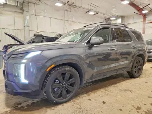 2025 HYUNDAI PALISADE
