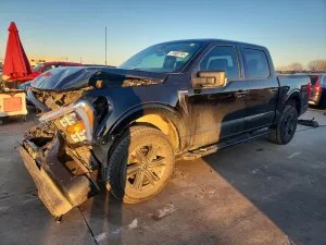 2023 FORD All Models