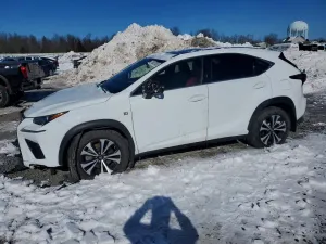 2021 LEXUS NX 300
