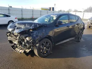 2024 DODGE HORNET R/T