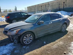 2011 HONDA ACCORD