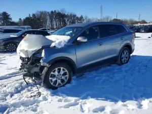 2011 MAZDA CX-9