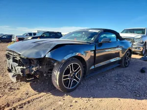 2019 FORD ALL Models