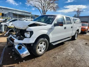 2010 FORD F-150