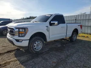 2023 FORD All Models