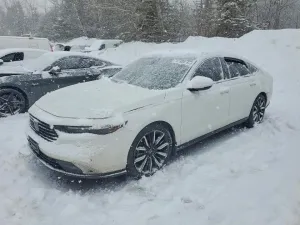 2023 HONDA ACCORD