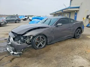 2024 FORD ALL Models