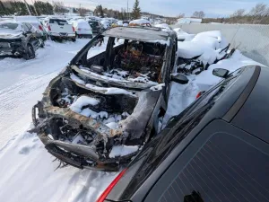 2015 HONDA All Models