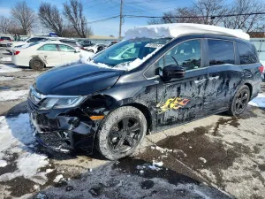 2019 HONDA All Models