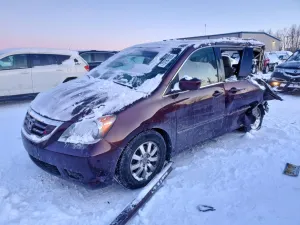 2010 HONDA All Models