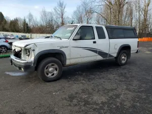 1996 DODGE All Models