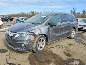2019 HONDA All Models