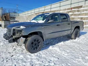 2010 DODGE DAKOTA