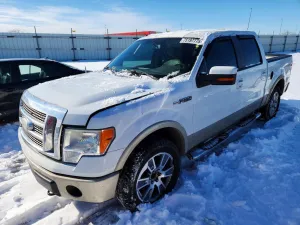 2009 FORD F-150