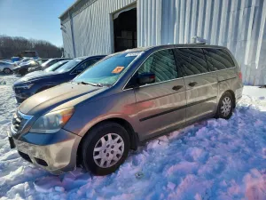 2010 HONDA All Models