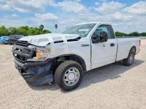 2019 FORD All Models