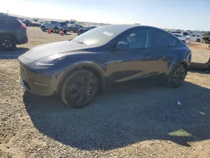 2025 TESLA MODEL Y
