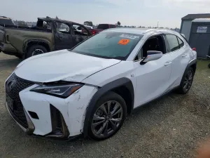 2019 LEXUS UX 250H