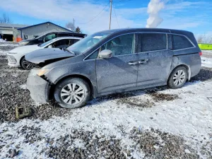 2015 HONDA All Models