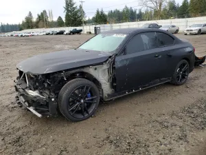 2022 BMW MOTORRAD M2