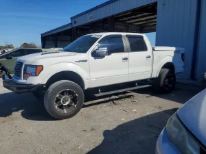 2010 FORD F-150