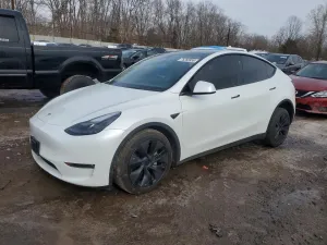 2025 TESLA MODEL Y