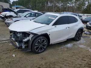 2019 LEXUS UX 200