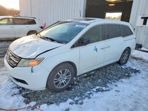 2011 HONDA All Models