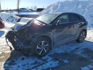 2019 LEXUS NX