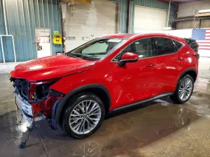 2025 LEXUS NX 350H BA