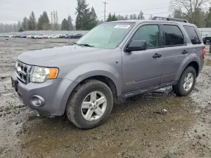 2008 FORD ESCAPE