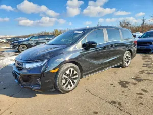 2025 HONDA All Models