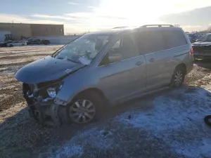 2010 HONDA All Models